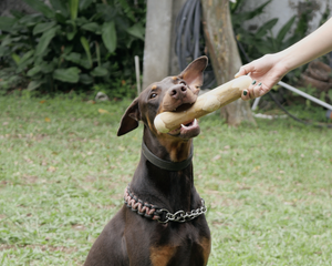 Coffee Wood Dog Chews