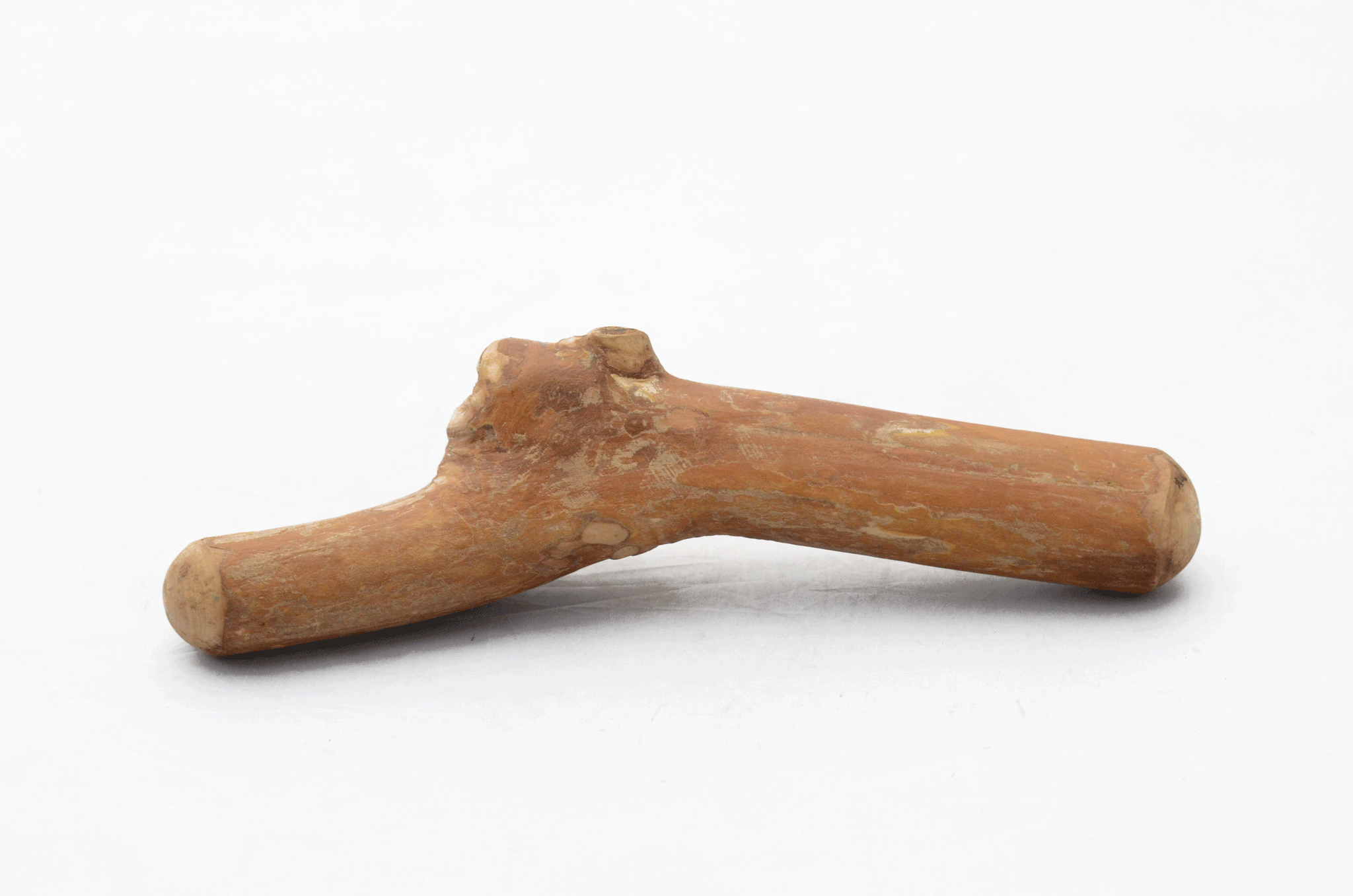 Wooden online dog chew