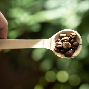 Coffee Wood Scoop
